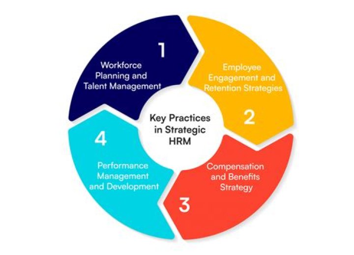 How HRM can contribute to the performance of organization?