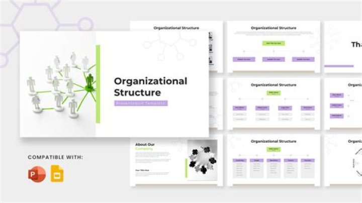 How important is a budget to an organization?