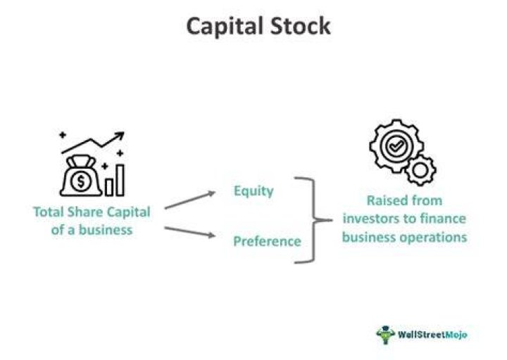 How is capital stock recorded?