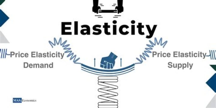 How is elasticity related to the revenue from a sales tax?