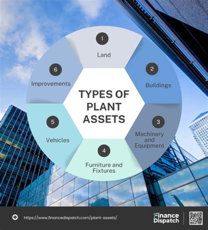 How is land different from other plant assets?