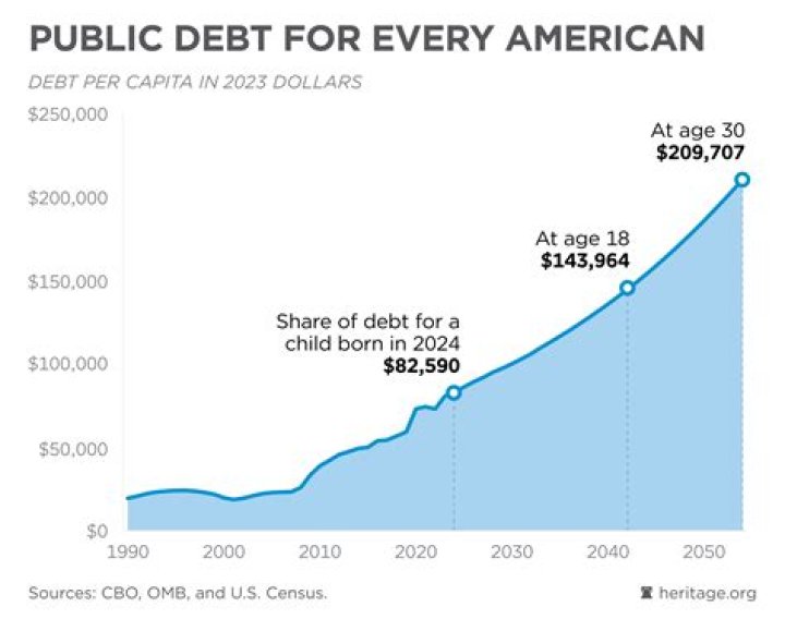 How is the public debt calculated?