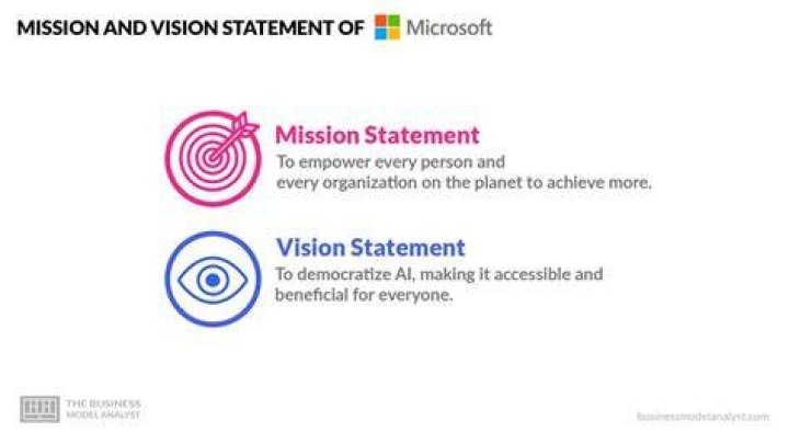 How is the vision of an organization described?