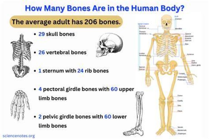 How many are there in a normal year?