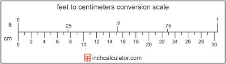 How many cm is 2 feet?