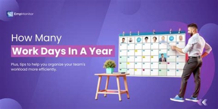 How many days are in a work year 2021?