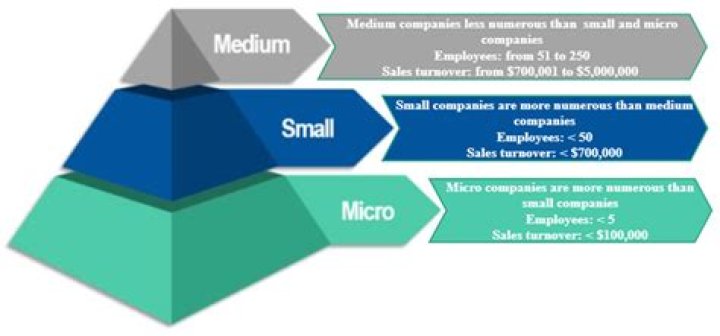 How many people do small and medium sized businesses employ?