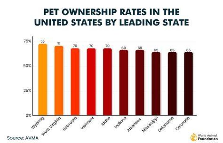How many people own a exotic pet?