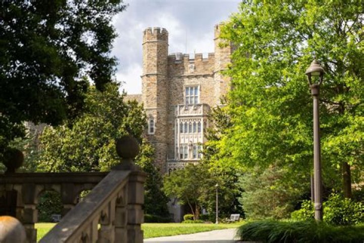 How many students apply to University of Alabama each year?