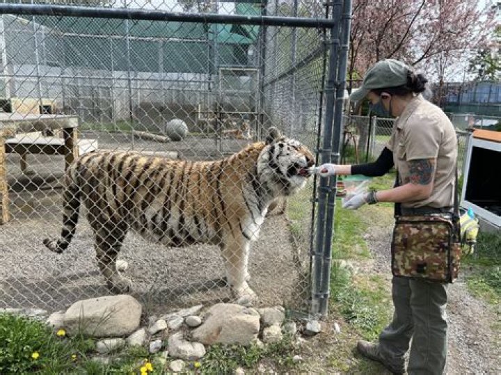 How much do animal keepers make a year?