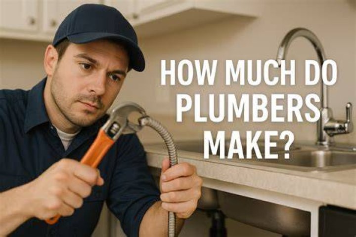 How much do licensed plumbers make in Florida?