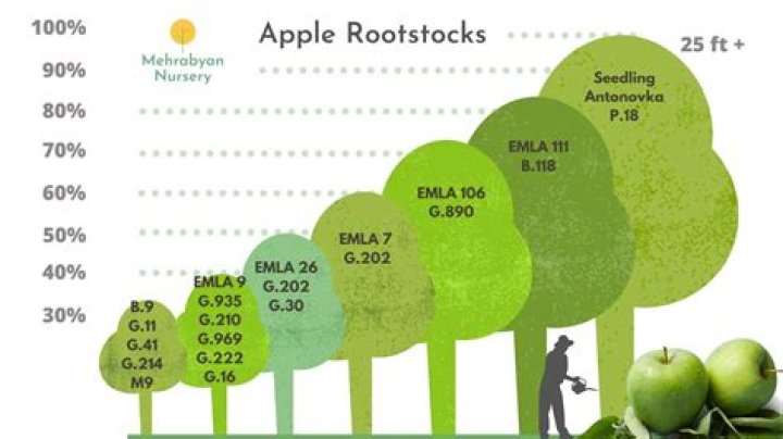 How much does Apple produce in a year?