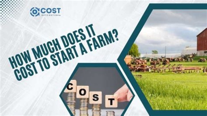 How much does it cost to start a BBQ stand?