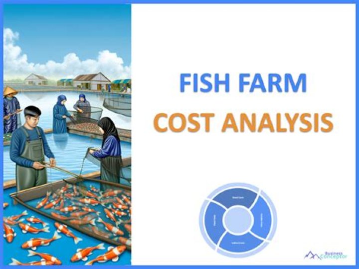 How much does it cost to start a fish farm?