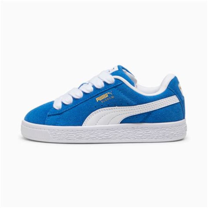 How much does Puma earn a year?