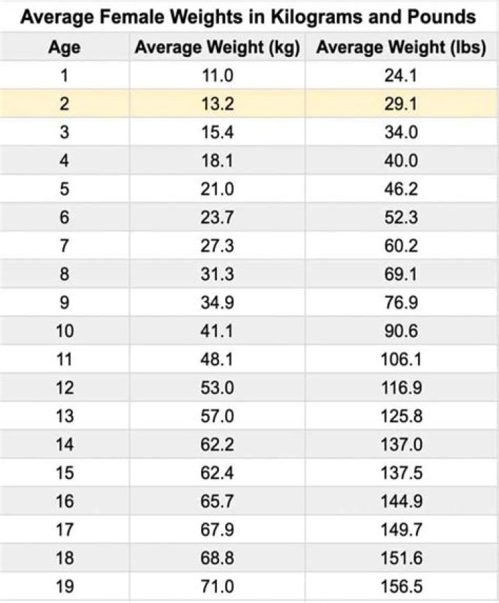 How much does the average cabinet weigh?