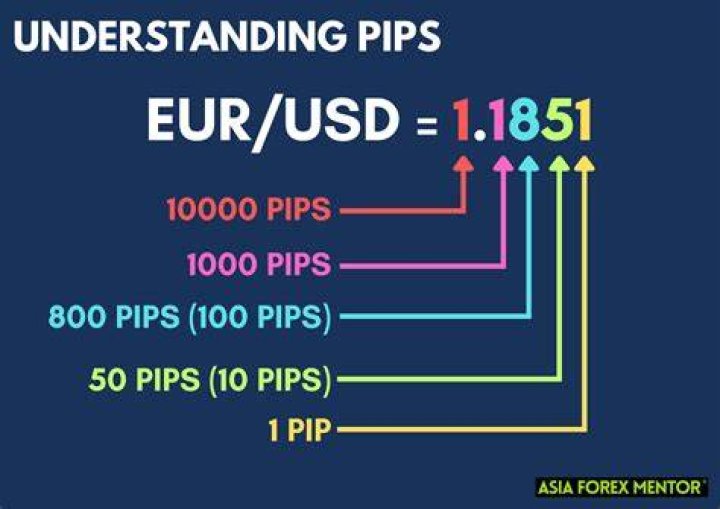 How much is 100 pips worth?