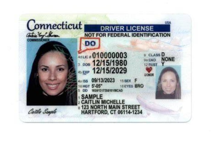 How much is a bartending license in CT?