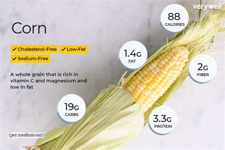 How much is corn per metric ton?