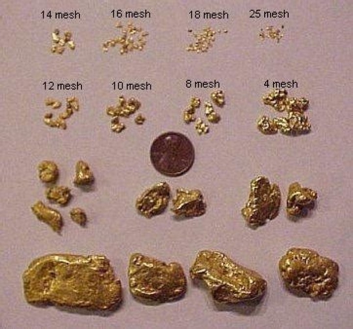 How much is one gram of gold worth?