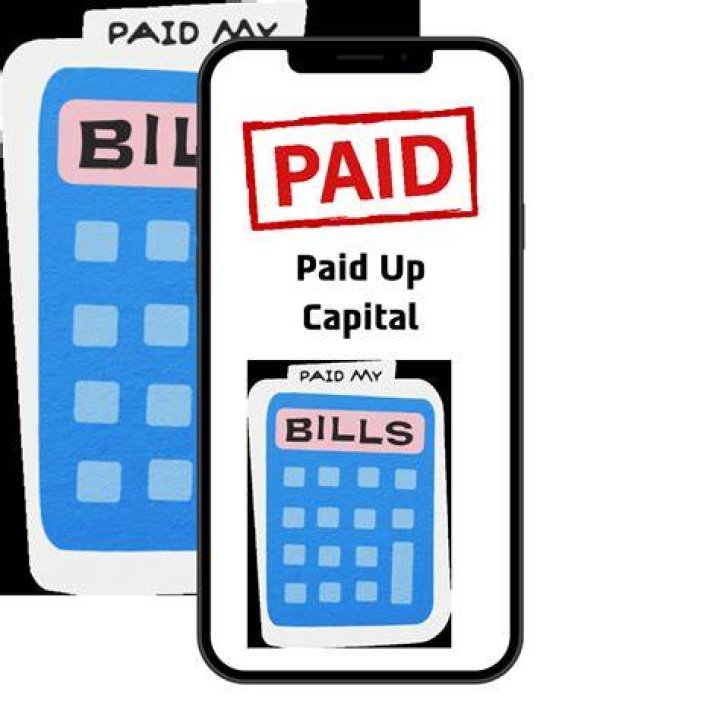 How much should be my paid up capital?