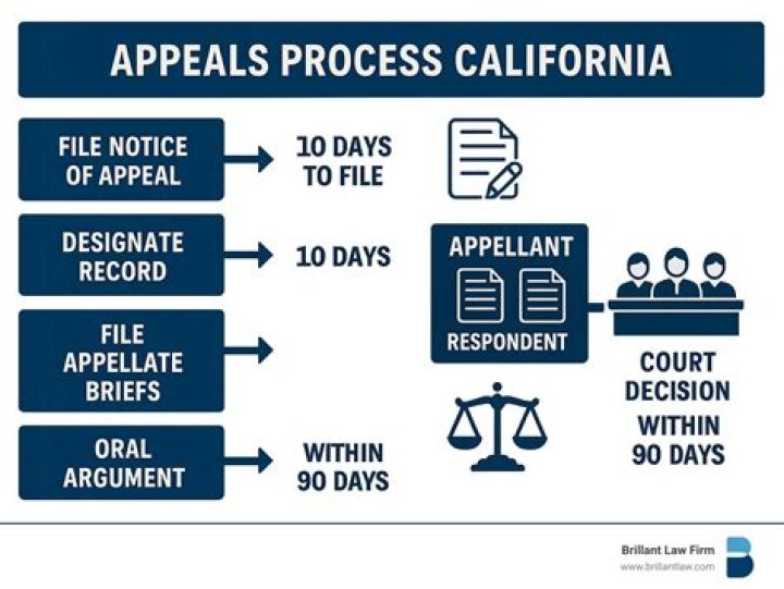 How successful are criminal appeals?
