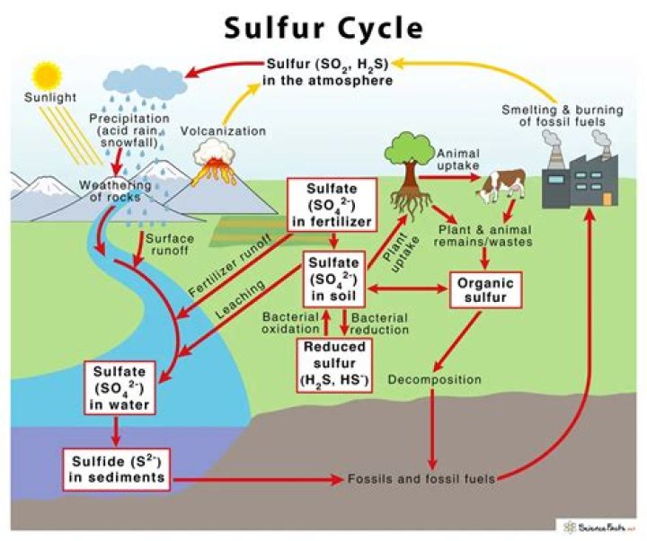 How was sulfur used in the past?