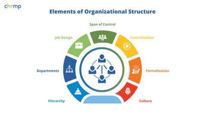 How will you apply the importance of structure in an organization?