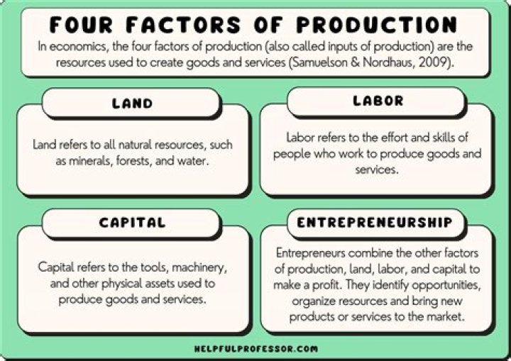 How would you define human factors?