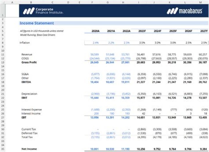 In which income statement sales is considered equal to 100?