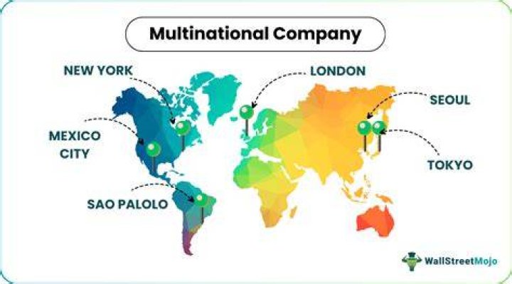 Is a company that conducts business in more than one country?
