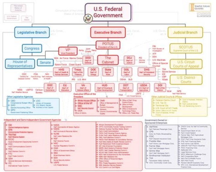 Is a government organization a business?