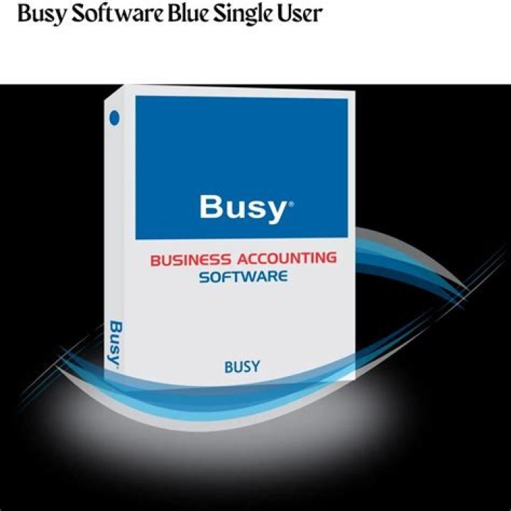 Is Busy accounting software good?