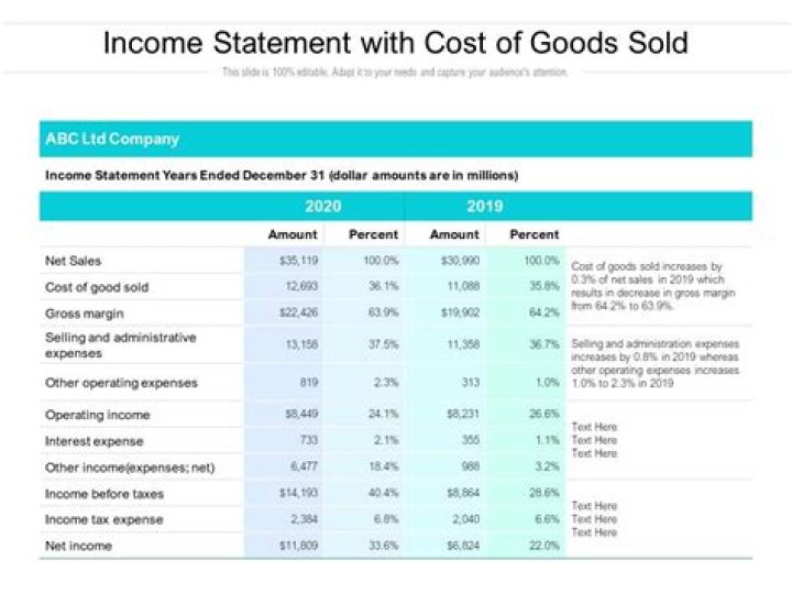 Is cost of goods sold included in net income?