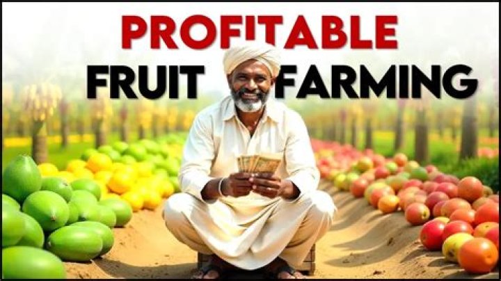 Is exporting fruit profitable?