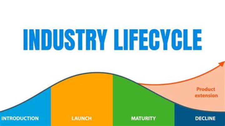 Is industry life cycle same as product life cycle?