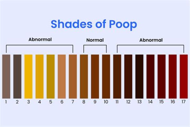 Is it dangerous to poop in the ocean?