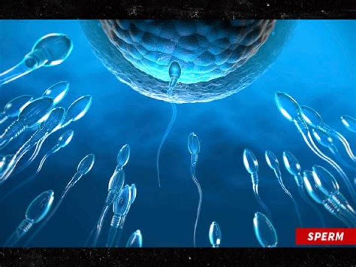 Is it legal to sell sperm?