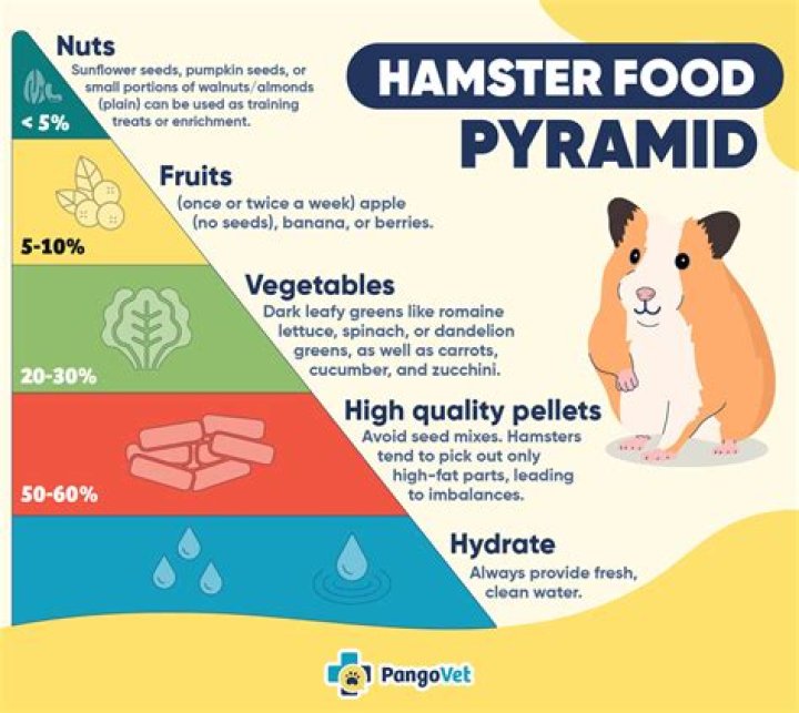 Is it safe to feed a hamster pineapple?