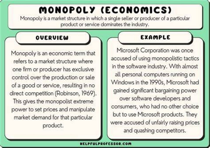 Is monopoly necessarily an evil?