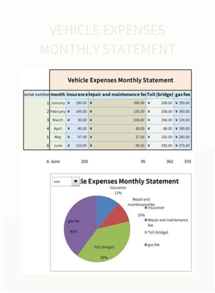 Is motor vehicle an expense?
