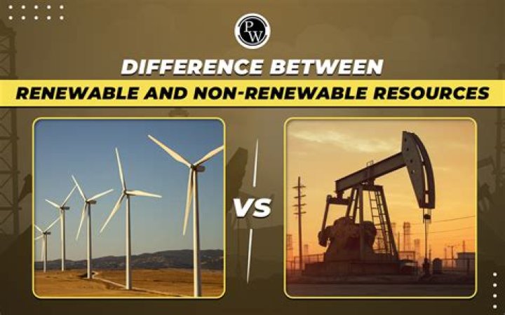 Is palm oil a renewable resource?