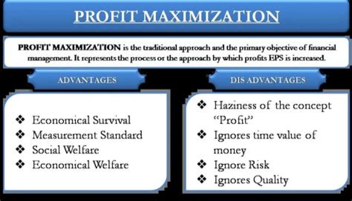 Is profit maximization The main objective of a business?