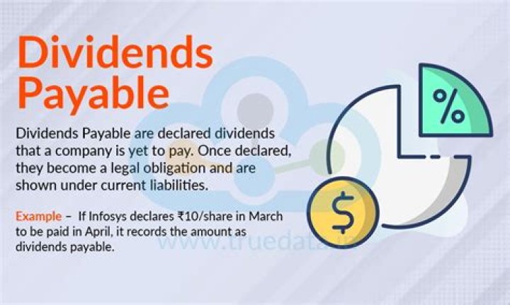Is provision for dividend current liabilities?