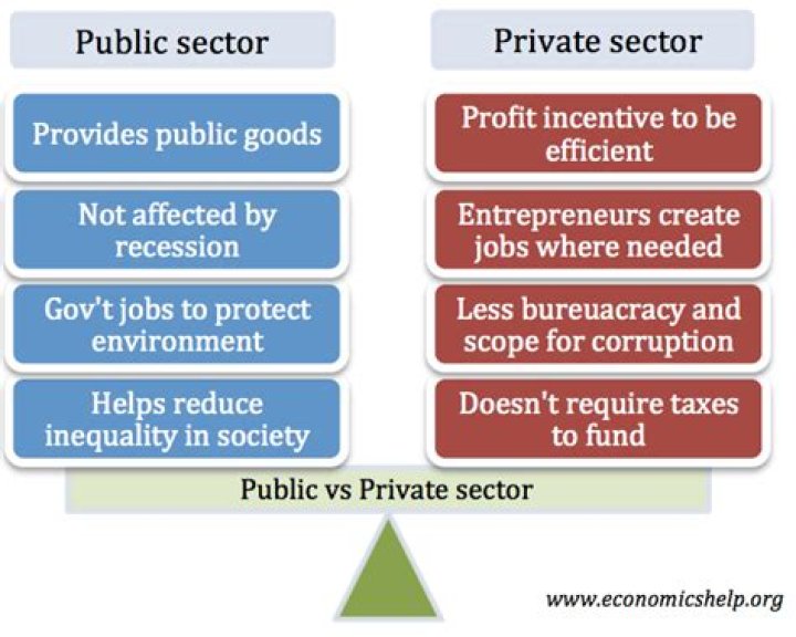 Is public sector not for profit?