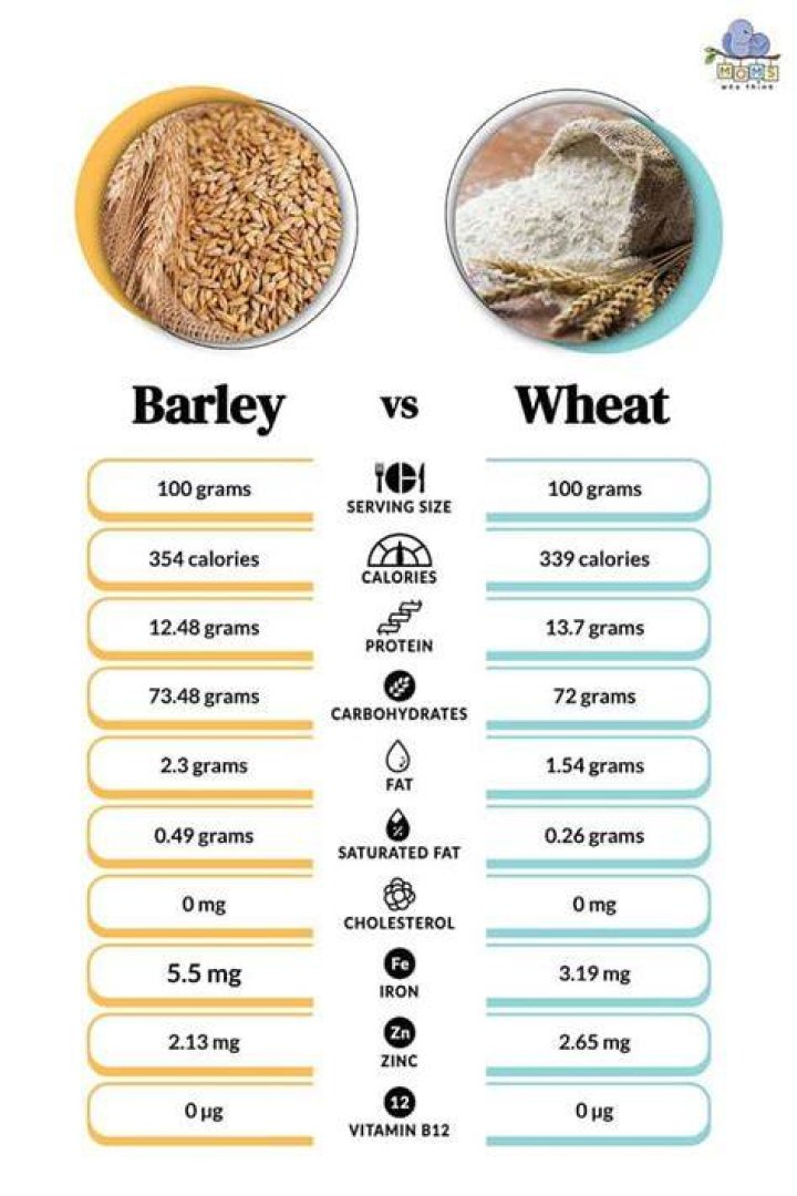 Is rye healthier than wheat?