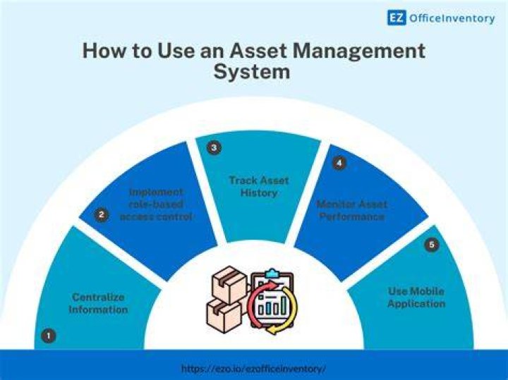 Is share an asset?