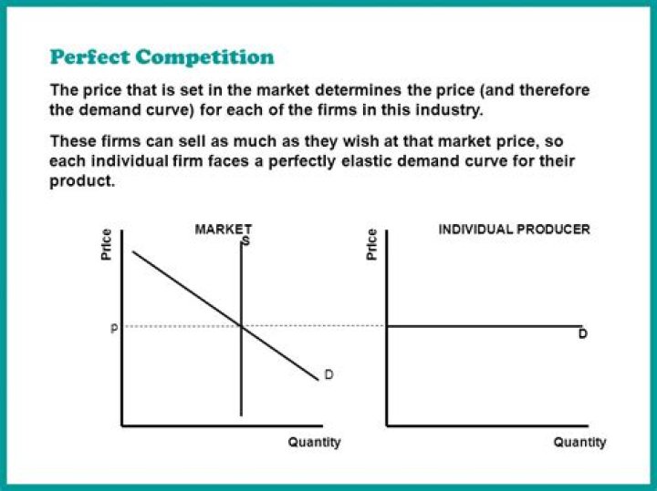 Is the demand curve for perfect competition perfectly elastic?