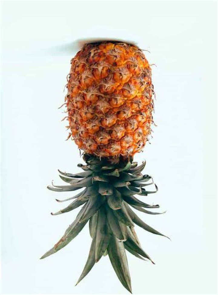 Is the pineapple a symbol of swinging?