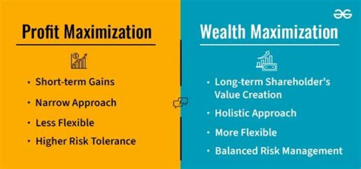 Is the shareholder wealth maximization goal a short term or long term goal?
